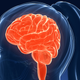 Illustration for article titled As Countries Become More Developed, So Do Women's Cognitive Abilities